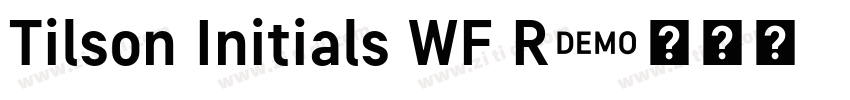 Tilson Initials WF R字体转换